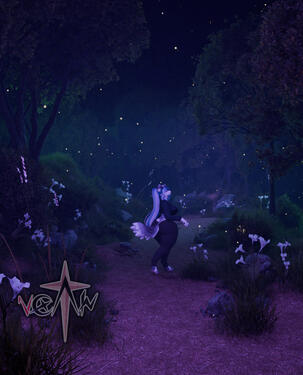 Nighttime Forest